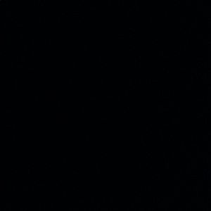 Meet your Posher, Mireya